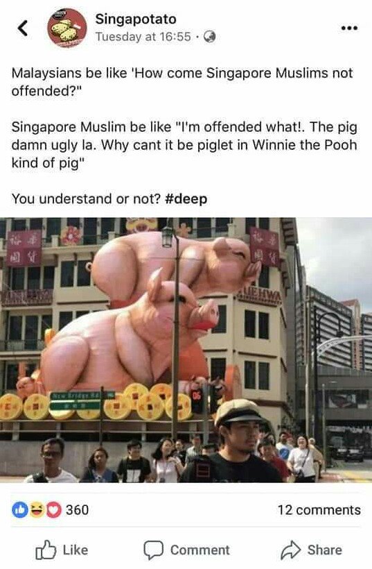 gumpnhell's tweet image. 🐖🐷🐽

Malaysians: "How come Singapore Muslims not offended?"

Singapore Muslim: "Because we are educated. No time to think about all this nonsense... "

Rakyat Indonesia: *jleb!