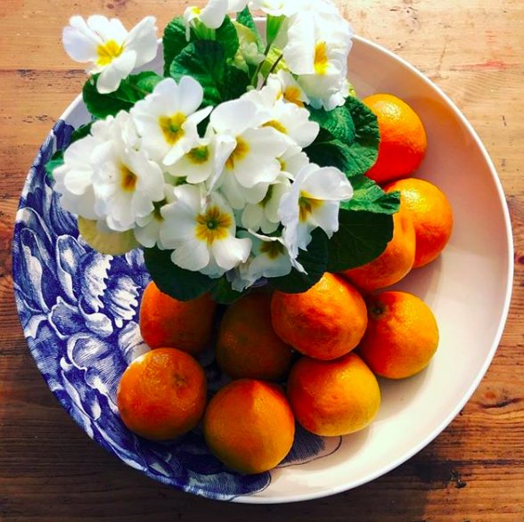 WalkingMatters's tweet photo. Thanks @ccw71 for this pretty breath of springtime! @CaskataHome #wevegotyourplates πΊ πΈ πΌ
#TabletopMatters
#hopespringseternal #prettyplates #entertaining #setthetable #tableware #dinnerware #tabletop #dishes #peony #atthetable #serveitpretty https://t.co/NqZlx76YF0