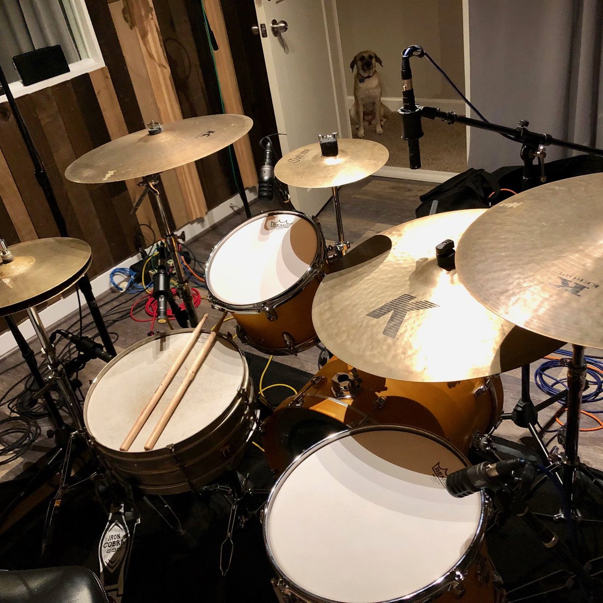 TreeHouseDrums's tweet photo. Danny was quick to get his newly acquired Compact Nesting Kit into the studio for a Hal Leonard session where the techs exclaimed "this 18" kick sounds so beefy!" Thanks for sharing the pics, @dannyyoungdrums !

#compactnestingkit #drumset #customdrums #drums #treehousedrums https://t.co/7weOeClCR9