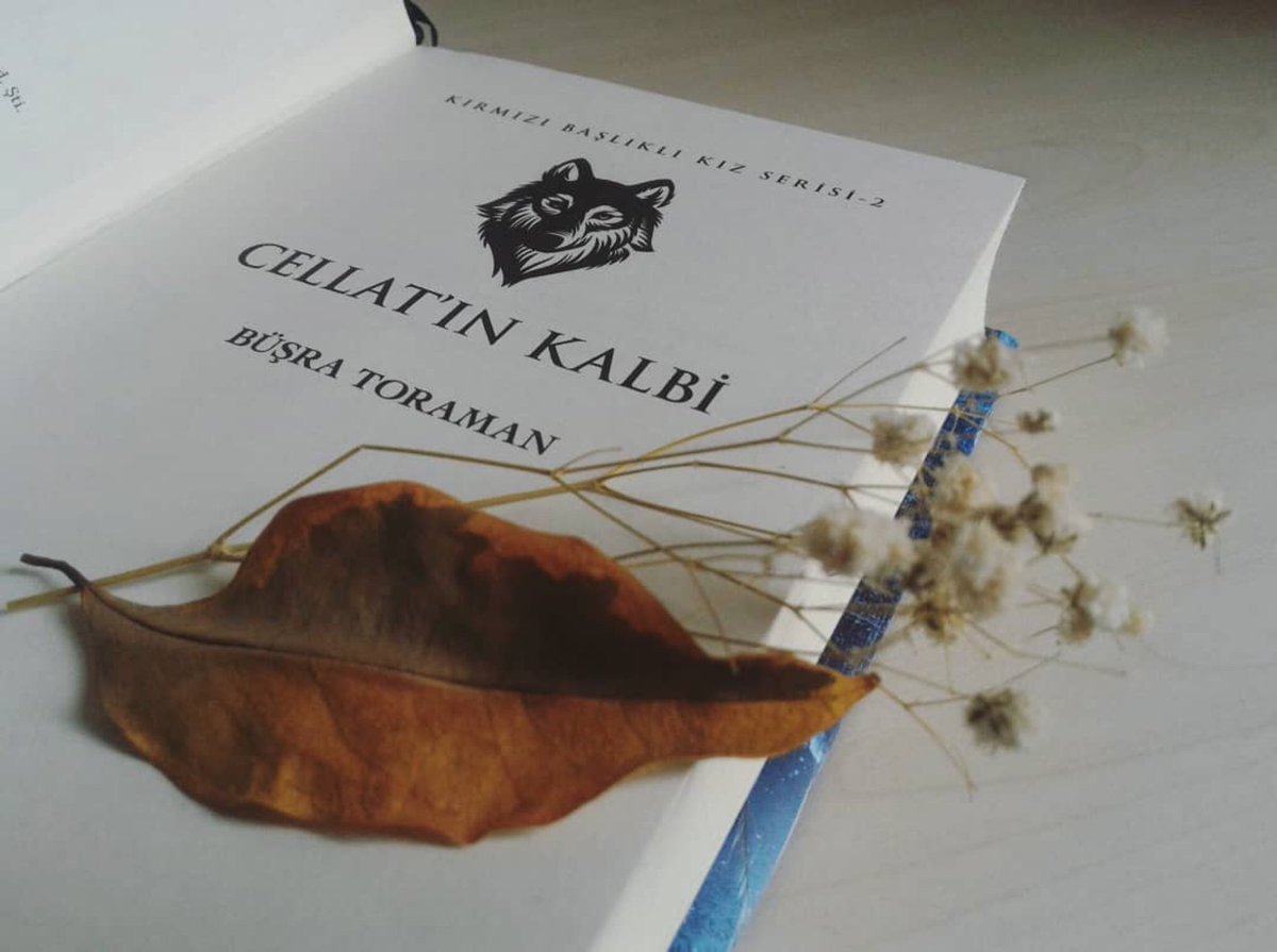 ephesusyayinevi's tweet photo. CELLAT’IN KALBİ | BÜŞRA TORAMAN
https://t.co/EmNrCIYn2v https://t.co/RlIo68i9nK
