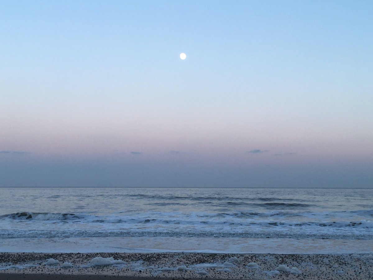 whittyfoxbeach tweet picture
