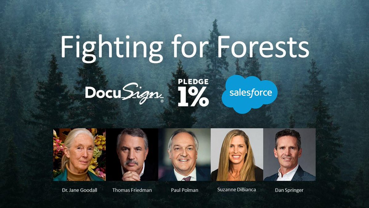 Docusign's tweet photo. Tomorrow from #Davos, alongside the legendary Dr. Jane Goodall and others, @DocuSign CEO @DanDSpringer will unveil a new initiative to help preserve our forests. Stay tuned for more info. @JaneGoodallInst #wef #wef19 https://t.co/xiYm1JNjw7