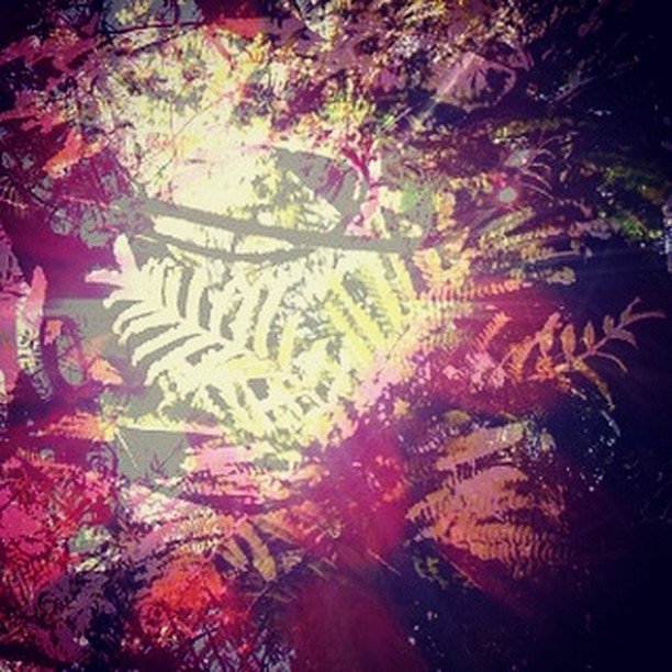 pinepienaarpics's tweet photo. Light Abstract #sun #colorworld #instacolorful #multicolored #multicolor #vibrant #abstract #art #abstractart #TagFire #abstracters_anonymous #abstract_buff #abstraction #instagood #creative @TagfireApp #artsy #beautiful #photooftheday #abstracto #stayab⦠https://t.co/AiOe8ZUCSm https://t.co/urZo1wVGEp