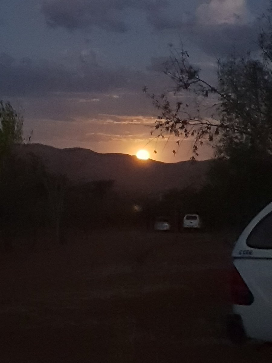 The moonrise looks like a sunset tonight in <a href="/Tswalu/">Tswalu Kalahari Reserve</a> Kalahari!#aardwolfmoon #perfectendtoperfectday