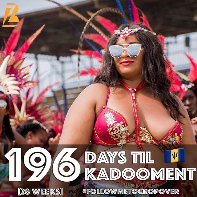 BazodeeMag's tweet photo. Sitting pretty just waiting for Crop Over 2019.
#bazodeemag #cropover #cropover2019 #kadooment #kadoomentkountdown #followmetocropover #kadooment2019 https://t.co/DcThty6xGw https://t.co/4ZCfWkVLDw