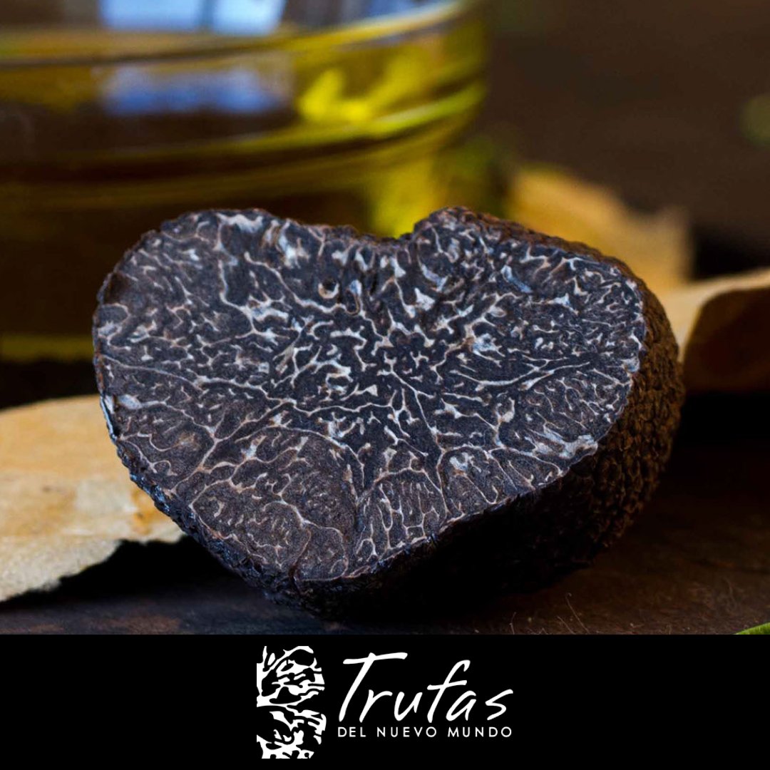 La trufa por dentro. 
Su gleba, el interior de la trufa, en perfecto estado de maduración.

¿Como saberlo? #TipsTruferos

💎 Aroma Intenso 💎Carne negra 
💎Venas Blancas 💎Consistencia Dura

 #truffe #blacktruffle #Perigord #instafood #TrufaArgentina  #michellinstar #tartufo
