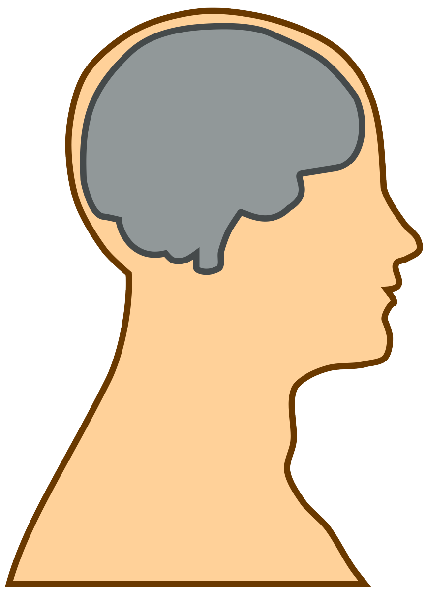 sczaction's tweet photo. An informative and helpful podcast series on schizophrenia: https://t.co/bZWOm41uVV #sardaa #schizophrenia #braindisorders #brainillness #suicide https://t.co/TngjgP9DQu
