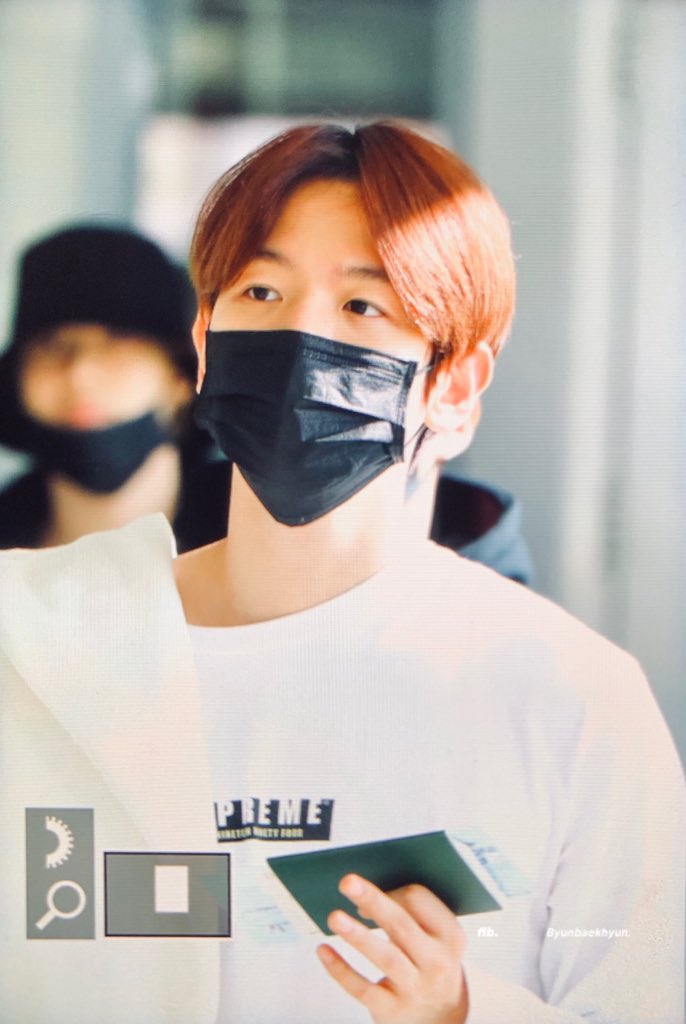 190121 LAX #백현 진짜루 한국간다✈️