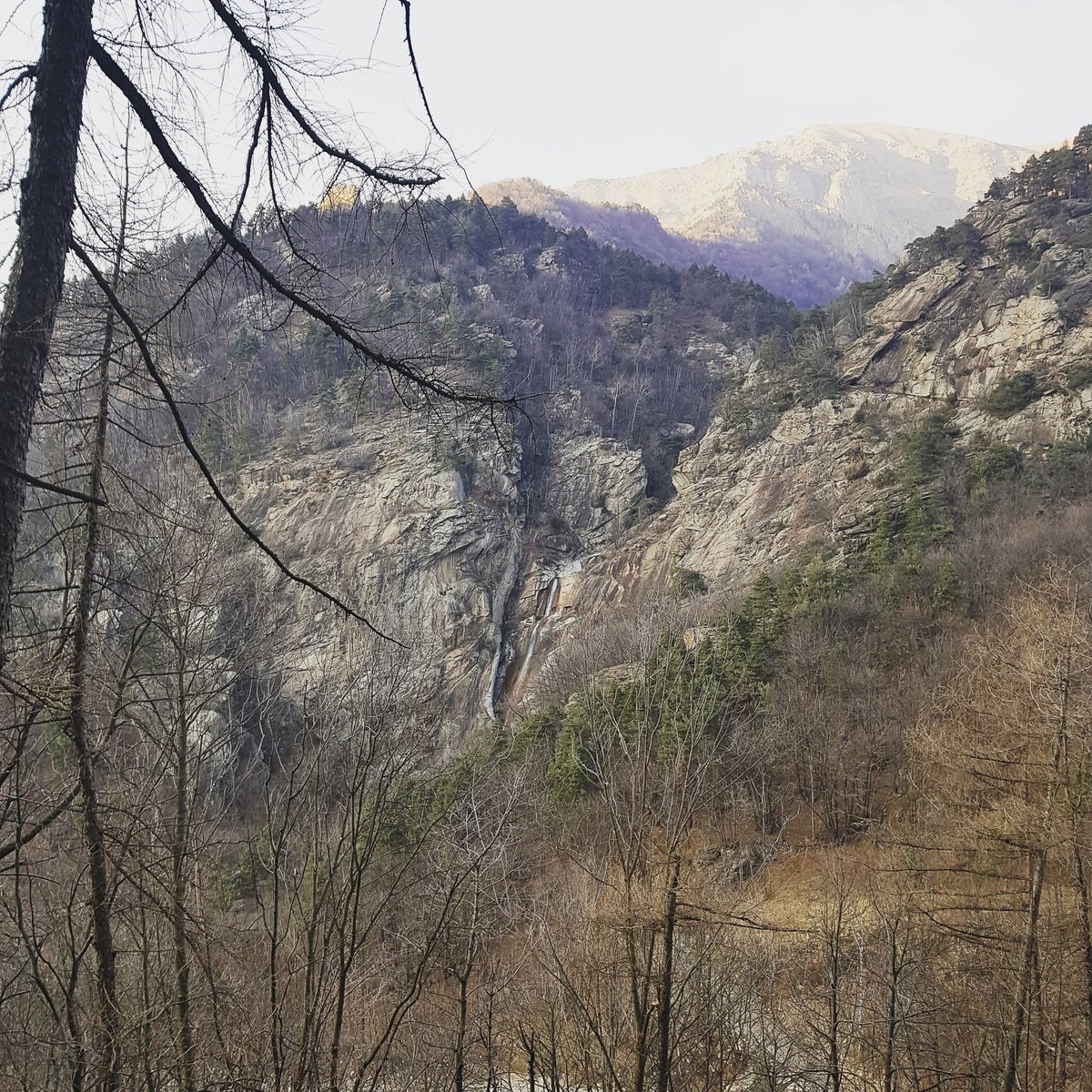 LucaMarsura82's tweet photo. #insidenature #salomon #walking https://t.co/fipVV17goq