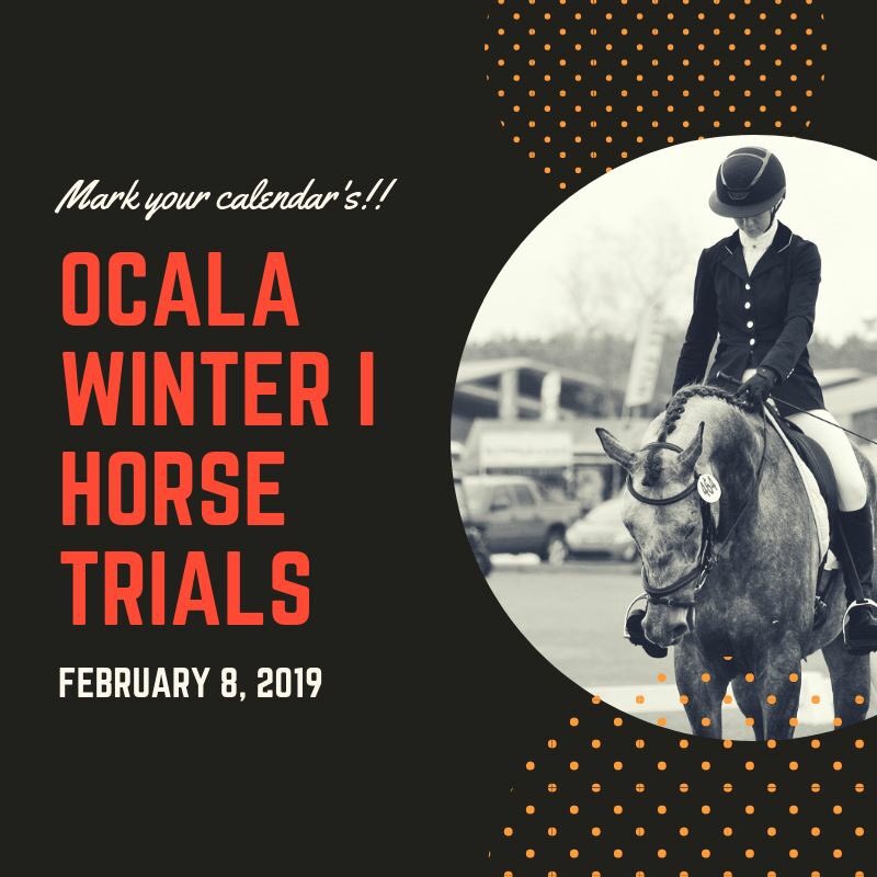 Florida Horse Park On Twitter Coming Soon Horse Horses Ocala Amazing Thingstodoinocala Amazing Florida Horse Park Calendar