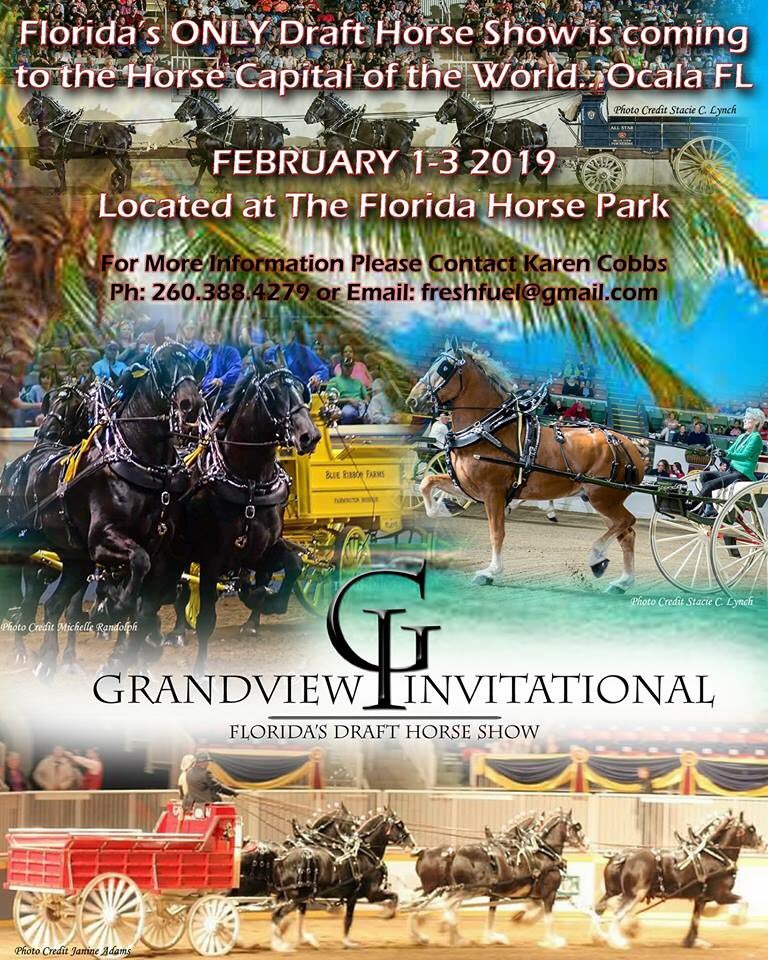 Next month! #drafthorse #amazing #awesome #loveit #Ocala #florida