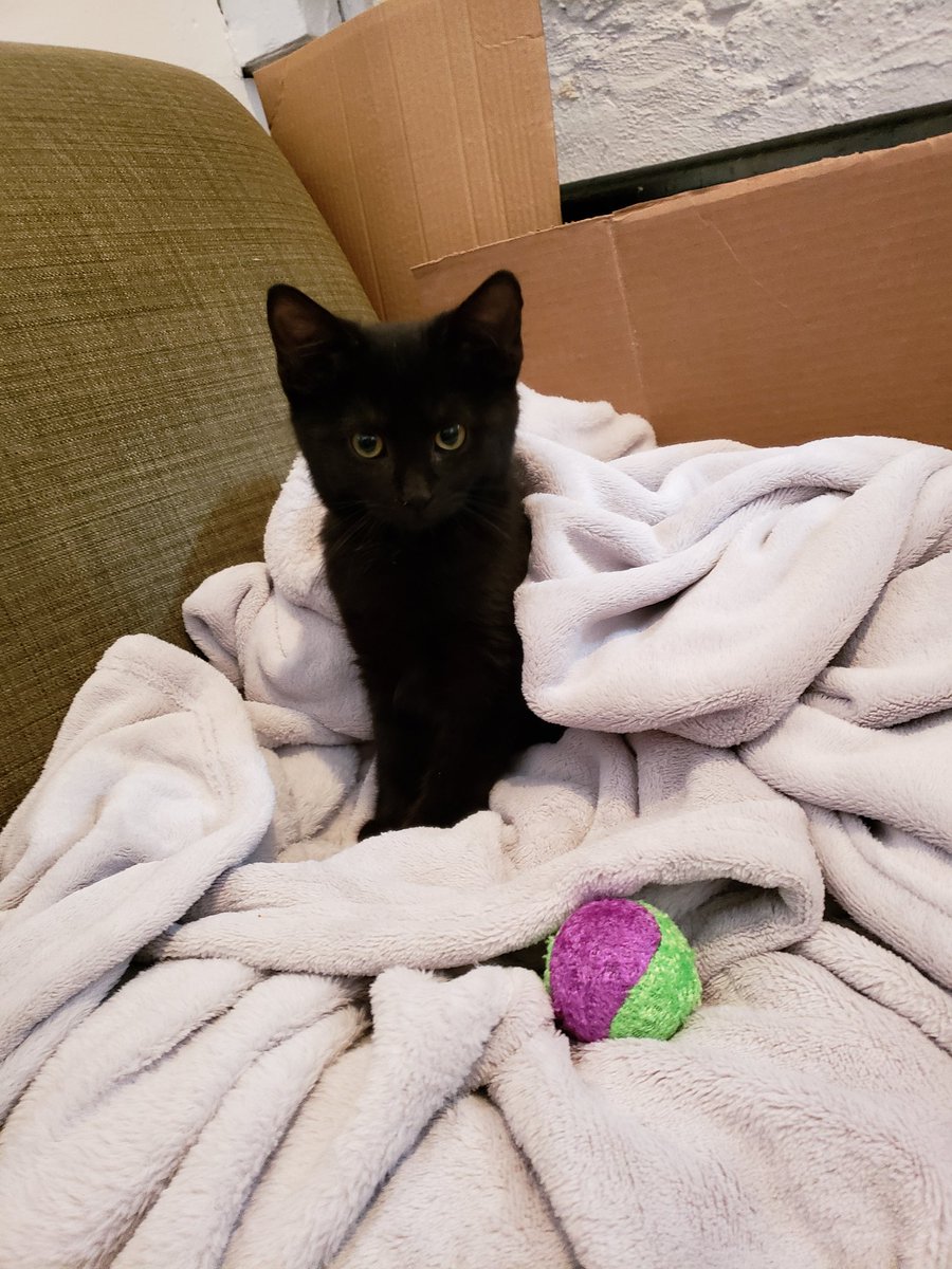 someone woke up from their nap: