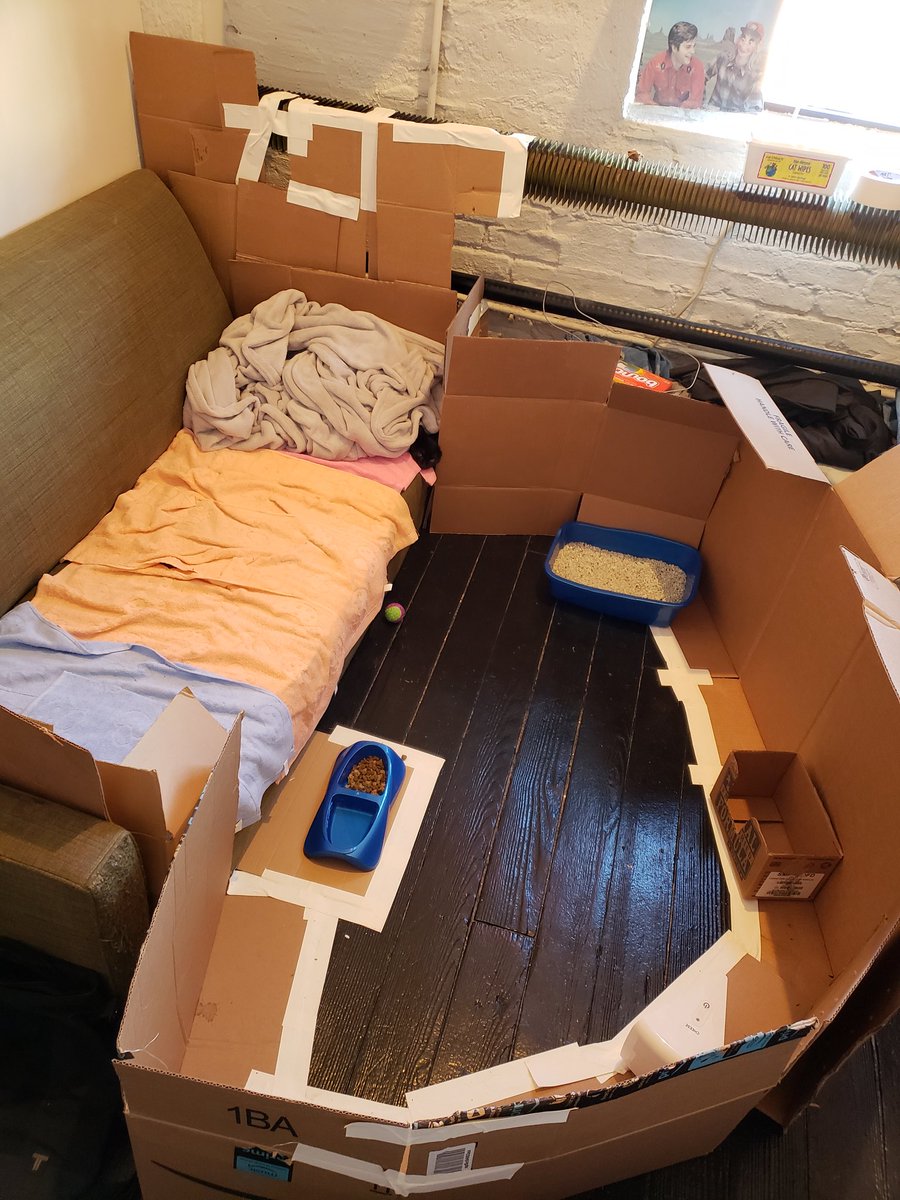 Made a makeshift playpen for our first couple of weeks together.