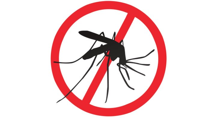 ProgramaEncuen1's tweet photo. ¿Sabias que la menta auyenta a los mosquitos? https://t.co/YOvnJ3CA7L