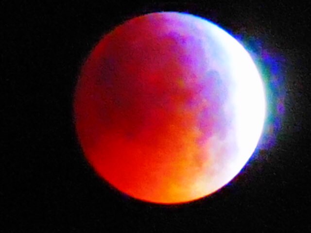 pennybakewell50's tweet photo. Super blood wolf moon as taken by #jimleach https://t.co/shjyRozOsA