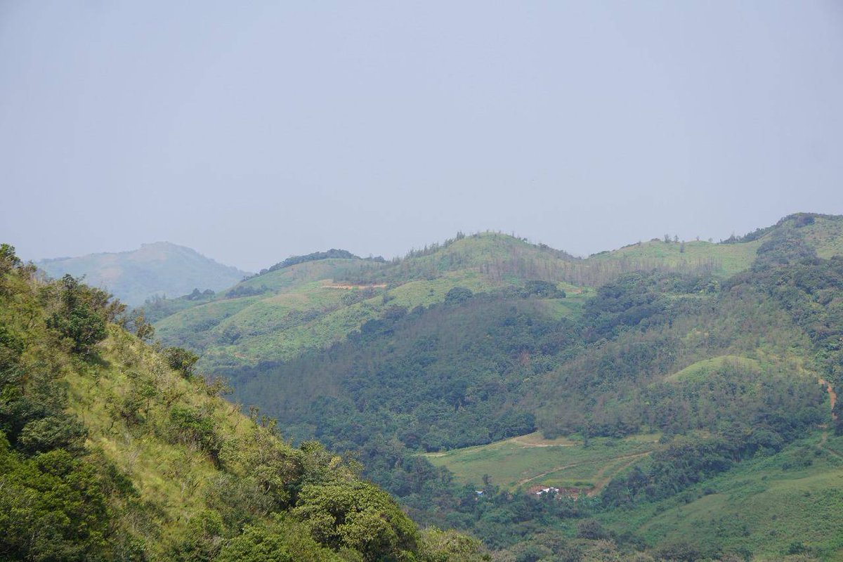 Banjara & Gypsy tweet media