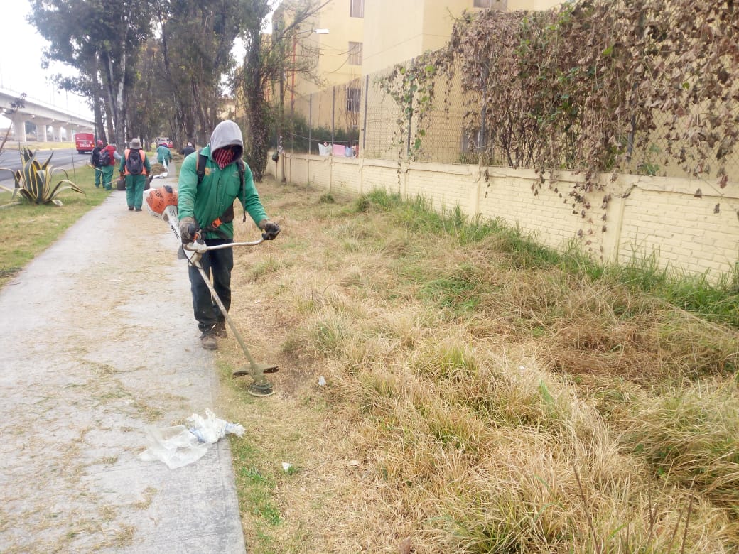 met_ServPublico's tweet photo. ¡Buenas tardes! #MetepecInforma, en días anteriores, se realizarón los trabajos de poda, limpia y perfilado de las áreas verdes que se encuentran en el fraccionamiento Las Marinas, sobre Av. Solidaridad Las Torres. #Metepec #LaCasaDeTodos https://t.co/U30tNkc4Vb