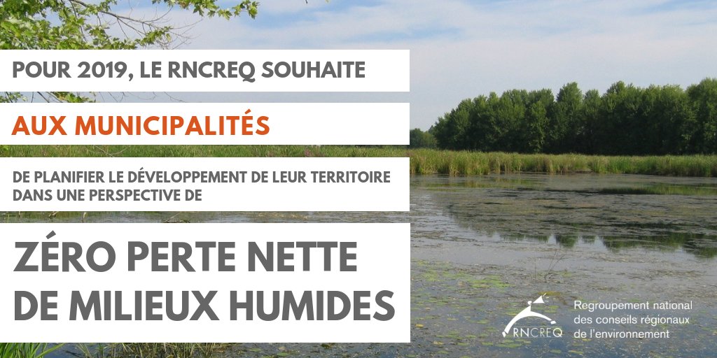 RNCREQ's tweet photo. Pour 2019, le @RNCREQ souhaite aux #municipalités du #Quebec de planifier le développement de leur territoire dans une perspective de zéro perte nette de milieux humides. #milieuxhumides #conservation #biodiversité #PRMHH Tous les #voeux du @RNCREQ : https://t.co/hZJdCVVmiZ https://t.co/4w64oK2bJC