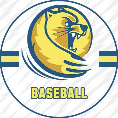 SoCoBraves's tweet photo. Excited to announce that @LanderBaseball RHP/INF @Swaggywaggy5 will be joining the squad for the 2019 summer season!🔥⚾️ https://t.co/x1LB5TVnTq
