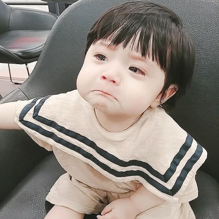 FORFLOWR's tweet image. ㅤㅤ𝘬𝘸𝘢𝘯'𝘴 𝘩𝘢𝘪𝘳𝘤𝘶𝘵 𝘥𝘢𝘺 — 🦁。
ㅤㅤㅤㅤ01.21;싫어함...

Bessie e eu, tomamos a decisão de que já estava na hora de cortar as madeixas do nosso pequeno Kwan. Fui até sua casa buscá-lo para levar ao salão, mas ele parece não ter gostado nem um pouco dessa ideia.