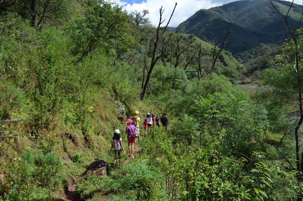 ProgramaEncuen1's tweet photo. La Quebrada de Lozano en Jujuy nace en el río Lozano, entre los cerros Chañi y Azul a 1575 msnm. Exuberante belleza paisajística, con cascadas y vertientes, flora y fauna de Yungas, bosque Montano y Pastizal de Altura. Es ideal para trekking, escalada en roca, cabalgatas y fotos. https://t.co/T4CfMAzOMW