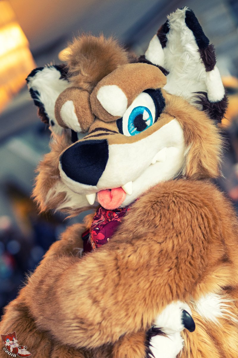 Look at this sassy inu! 🌟
Suiter: <a href="/AtlasInu/">Atlas //ENDWALKER ✨</a> 
Suit by: @morefurless 
Con: MFF2017