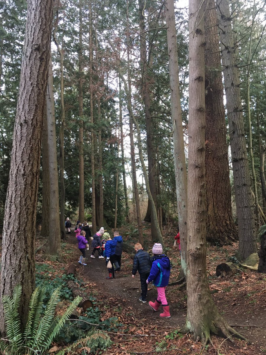 ellen_petersson's tweet photo. Monday morning nature walks in our forest! #natureitems #makinghearts #loveourforest #magicalmondaymornings #sd36learn #rayshepherd https://t.co/yhx1Ntx4wY