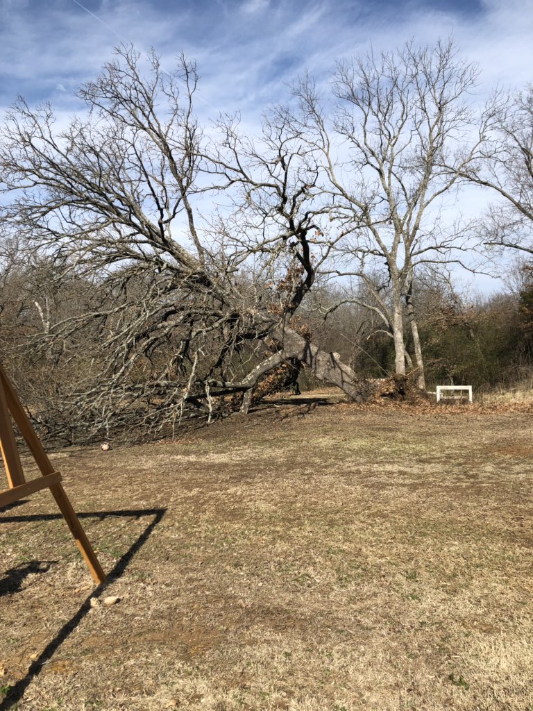 MelissaJarrett7's tweet photo. Just a little bit windy today. I always liked that tree too... #okwx https://t.co/vZNPYyLZ6d