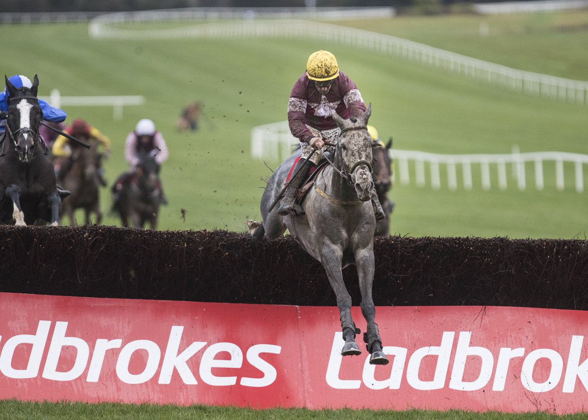 NavanRacecourse's tweet image. Delighted to see @Ladbrokes Troytown Chase winner Tout Est Permis win the Grade 2 Kinloch Brae Chase @thurlesraces yesterday. Next stop Cheltenham! 🇮🇪 ✈️ Congratulations to Noel Meade, @swflanagan7, Gigginstown and all the team @tuvastables. #NavanForm #TroytownWinner