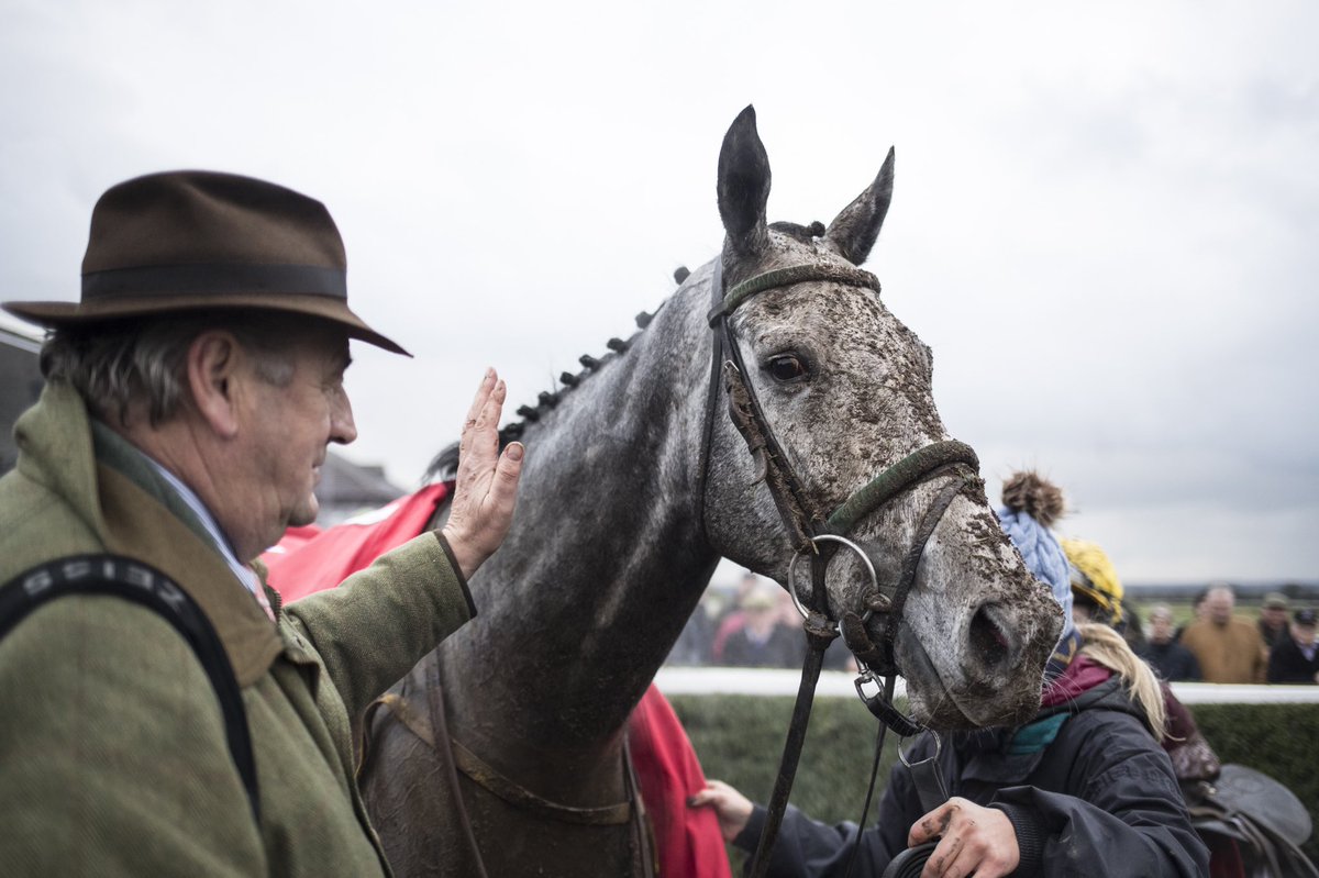 NavanRacecourse's tweet image. Delighted to see @Ladbrokes Troytown Chase winner Tout Est Permis win the Grade 2 Kinloch Brae Chase @thurlesraces yesterday. Next stop Cheltenham! 🇮🇪 ✈️ Congratulations to Noel Meade, @swflanagan7, Gigginstown and all the team @tuvastables. #NavanForm #TroytownWinner
