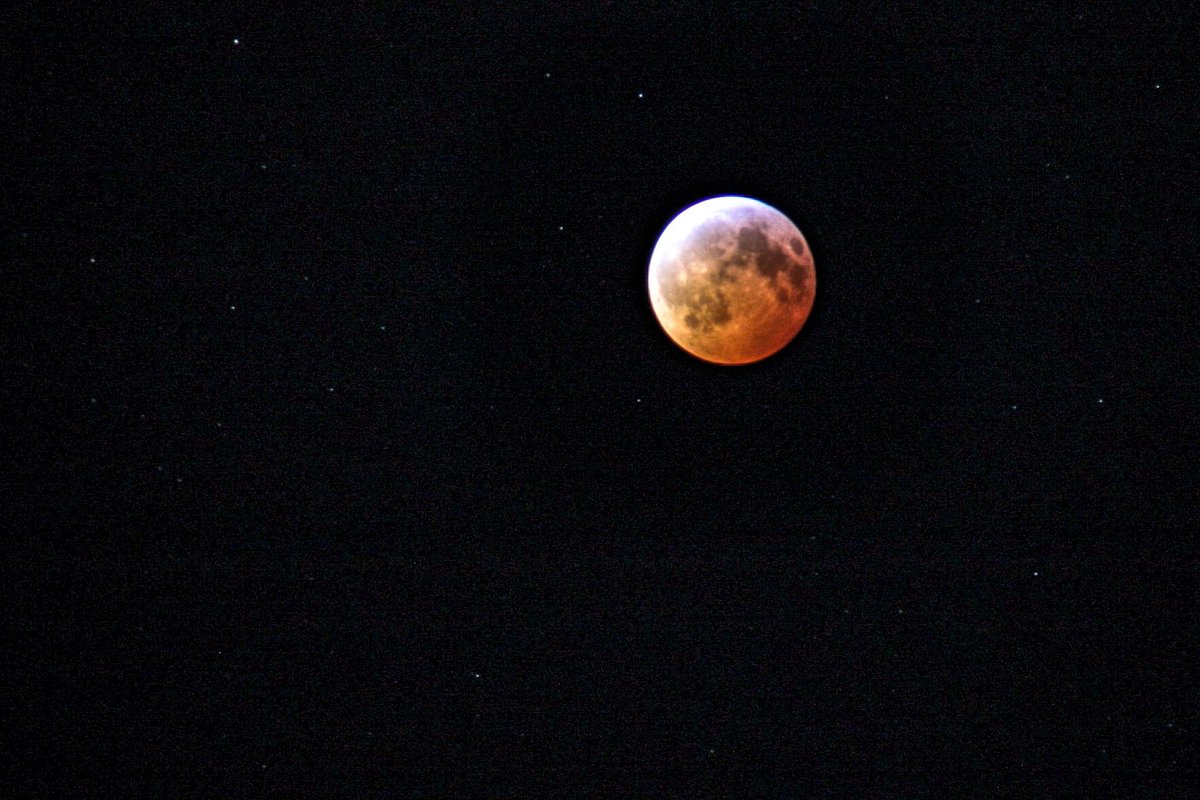 justizforall's tweet photo. Lunar Eclipse 2019

#photography #lunarphotography #lunareclipse #supermoon #wolfmoon #BloodMoonEclipse #bloodmoon #superwolfbloodmoon #astrophotography #lunareclipse2019 https://t.co/2vAv0gzhM1