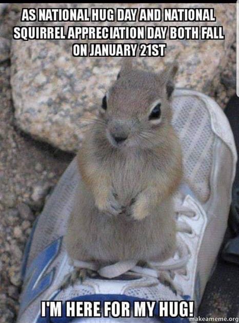 TheWallnuts's tweet image. What a coincidence...It’s also #NationalSquirrelAppreciationDay! Can we get some hugs, too? 😁#wallnuts #NationalHuggingDay