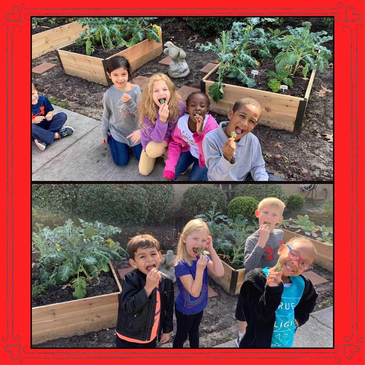 STEAMLabESE's tweet image. 1st grade #EatingBroccoli cut fresh right out of the garden🥦🥦🥦 They loved it and wanted more! #eseSOAR @HumbleISD_ESE @Humble_Science #thankswastemanagement @mipie09 #favoritegardeningmoments 
@GardenersSupply