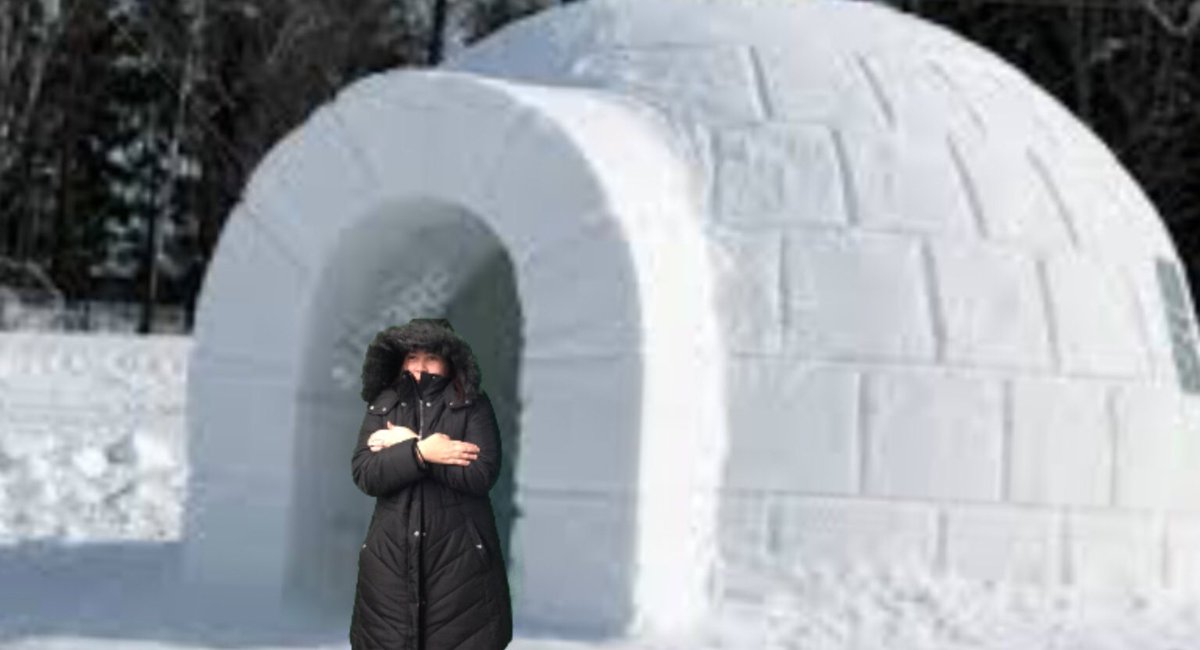 Dani Hettinger tweet media