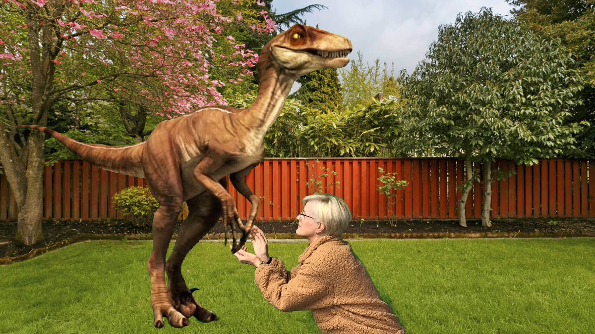 Dani Hettinger tweet media