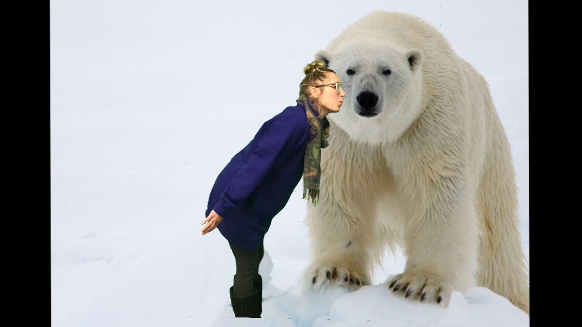 Dani Hettinger tweet media