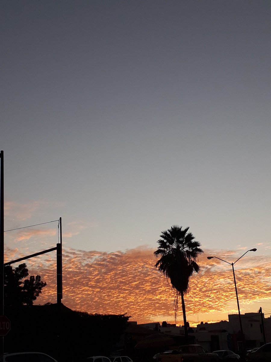 YTMARIANAT's tweet photo. Vistas que conquistan https://t.co/b8dpeJptyF
