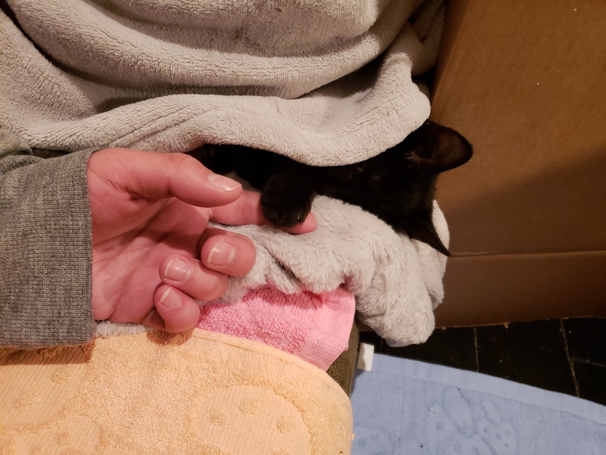 A BREAKTHROUGH: She has grabbed my finger and kept snatching at it when I tried to pull away.