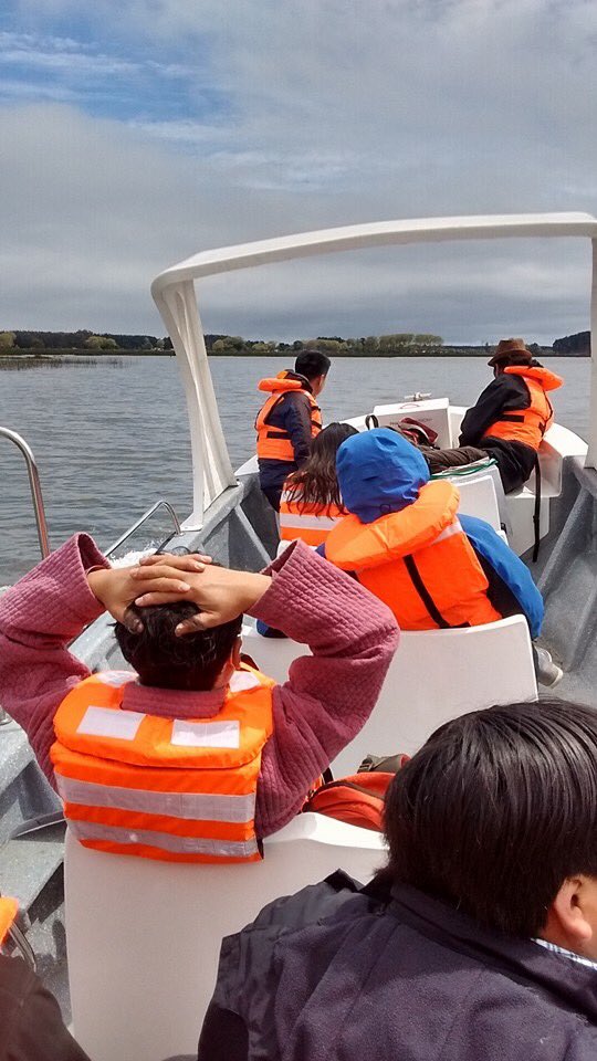 IslaLlepo's tweet photo. Acá algunos de nuestros pasajeros, más información en tienda/ venta de tour en la caleta el huilque #centrogastronomico #local8 #puertosaavedra! https://t.co/OkW524LBFC