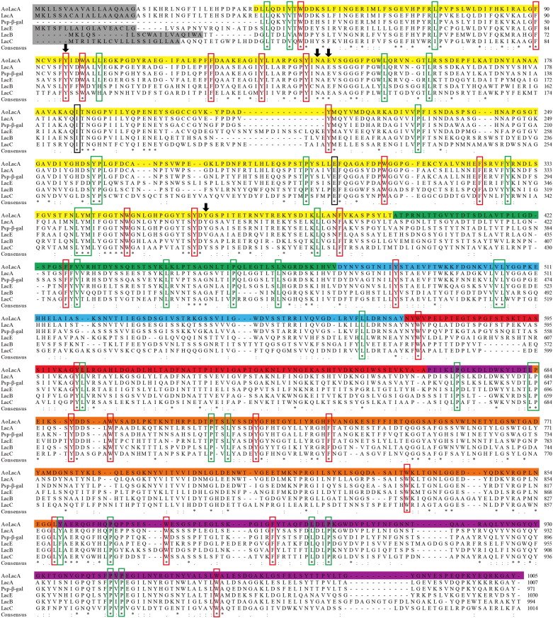 EJBiotechnology's tweet image. #βGalactosidases catalyze both #hydrolytic and transgalactosylation reactions and therefore have many applications in #food. #Aspergillus niger has been a main source of β-galactosidase, but the properties of this #enzyme are incompletely studied. bit.ly/2QZQ3RL