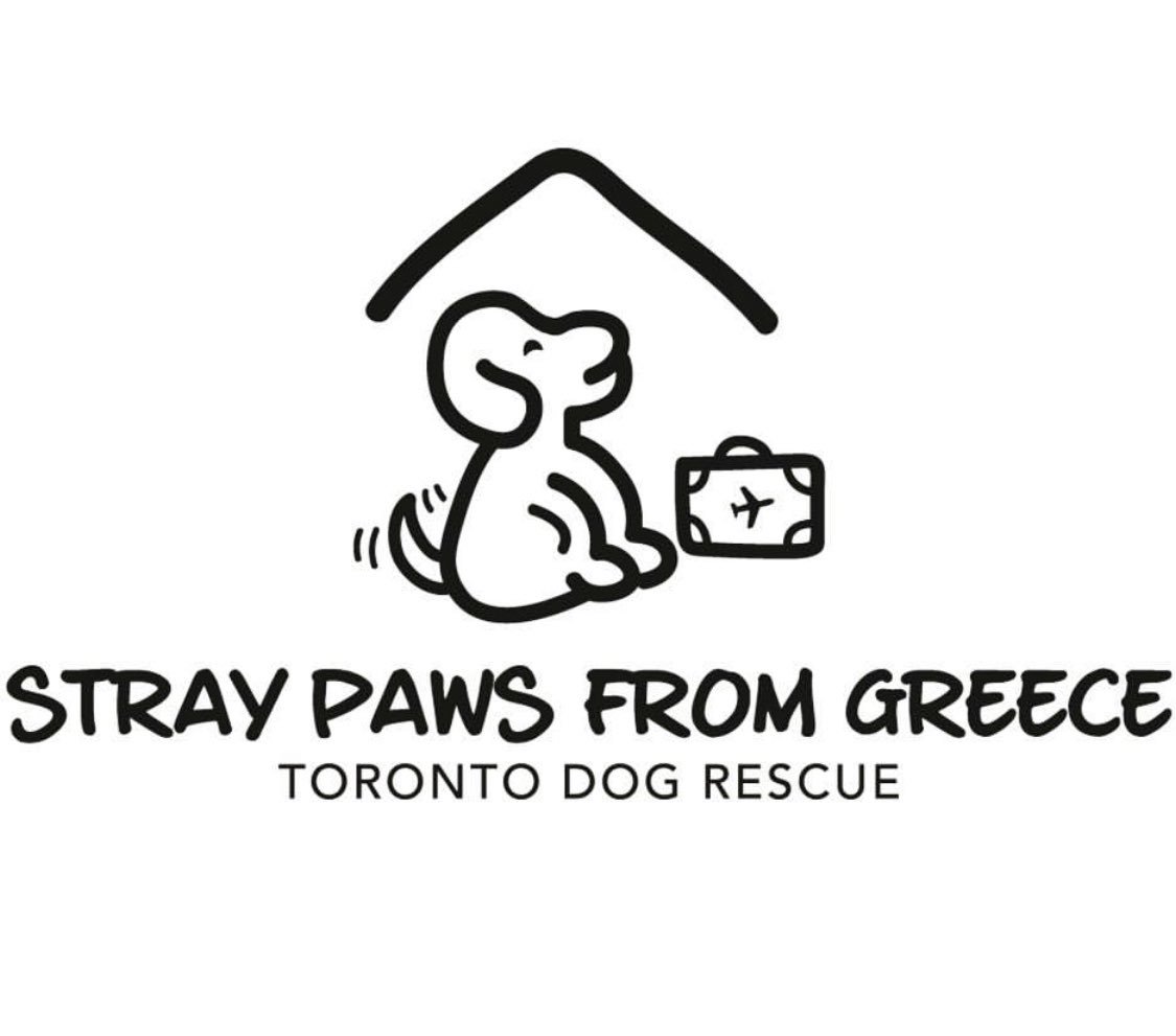 BlackLabBeer's tweet photo. Join us for our Stray Paws from Greece dog rescue fundraiser this Sunday from 11am to 3pm!
Grandmama’s Waffles will be on site for a delicious brunch!
Advance tickets: https://t.co/zrCXk7658R
#StrayPaws #GrandmamasWaffles #BlackLabBrewing https://t.co/IasEnYzdwx