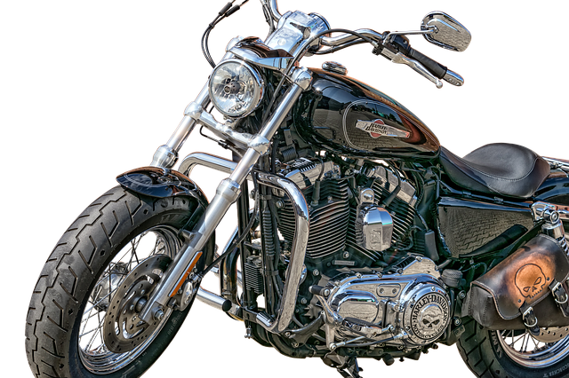 ijustwant2ride's tweet photo. Photo By Momentmal | Pixabay
#harleydevidson #motocycles #motorcycle #motorcycles #motos #motorcycle #bikes #bike #cycling #streetbikes #usa #biking #moto #unitedstatesofamerica #freedom #motocycle #motociclismo #joy #america #alegría #cyclinglife #roadbikes #unitedstates https://t.co/rv8Vgnna2s