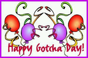 A little birdie tells us that is Pumba's <a href="/PosesOfPumba/">Pumba</a> Gotchaday today. We send you lots of gotchaday nose boops and purrs on this very special day.
cc: <a href="/anipaltimes/">AnipalTimes</a> <a href="/fluffybasil/">Teddy, Pumpkin Pie & Magic</a>