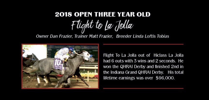 GranadaFarms's tweet photo. Congratulations Flight To La Jolla (#HiclassLaJolla-I Fly American, American Champ) QHRAI 2018 Open Three Year Old Champion! 

Frozen semen available on Hiclass La Jolla, Fee: $1,500. https://t.co/fNf7pbeRzE https://t.co/BwQIpVlB24