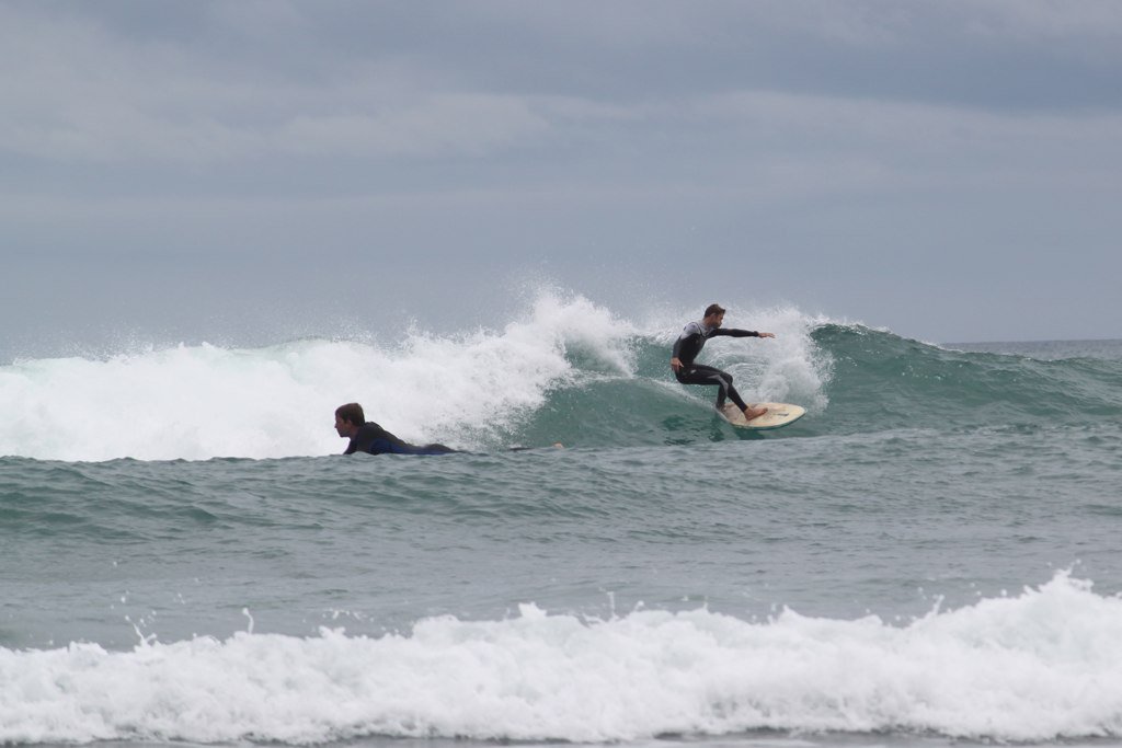 Transfercar tweet media