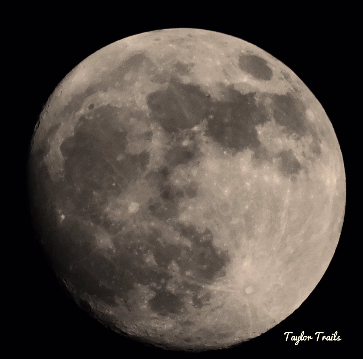 TrailsTaylor's tweet photo. The moon tonight was absolutely awesome!
#moon #night #sky #nikon #b500 #coolpix #nikonb500 #nightsky #universe #sobright #moonlight #clearnight #frostynight #calm #peaceful #beauty #lookup #moonlight #superzoom #soclose #detail x https://t.co/OmTbfYjxrk