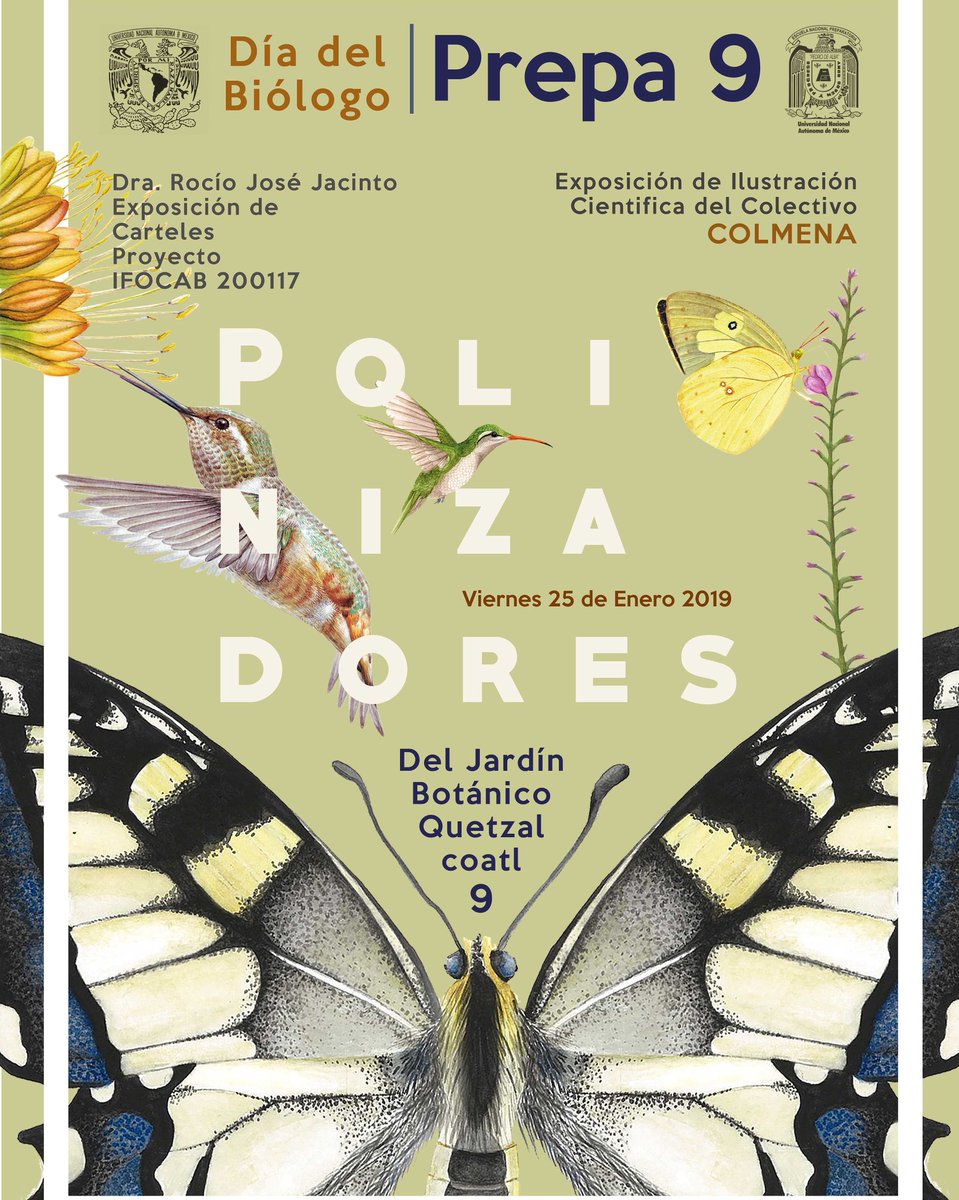 IlustracionCyN's tweet photo. Este viernes en punto de las 10 AM estaremos inaugurando una exposición de ilustración científica sobre polinizadores en la #prepa9 de la #UNAM #ilustrandolaciencia #ilustracionciencianaturaleza #colmenailustra #expo https://t.co/KDdqewWBaH
