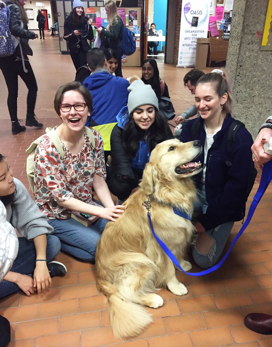 UAlbertaArts's tweet photo. Thank you to all who came out for our #BlueMonday Barks in Arts event to enjoy a #HappyJan cookie &amp; meet Jasper, Mako, Cappuccino &amp; Bentley, our wonderful @CAAWLS wellness dogs! We hope you left happy &amp; hairy! Check out the Facebook photo album: https://t.co/SCW4CsZlPL @UAlberta https://t.co/KQS64k9D89