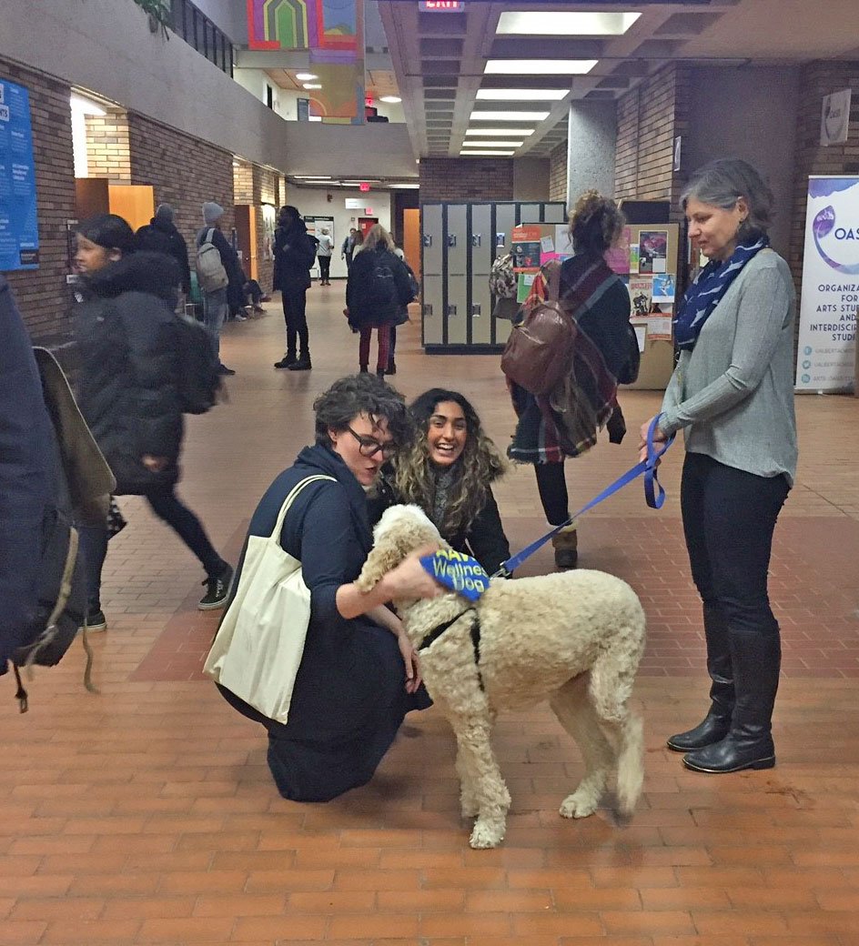 UAlbertaArts's tweet photo. Thank you to all who came out for our #BlueMonday Barks in Arts event to enjoy a #HappyJan cookie &amp; meet Jasper, Mako, Cappuccino &amp; Bentley, our wonderful @CAAWLS wellness dogs! We hope you left happy &amp; hairy! Check out the Facebook photo album: https://t.co/SCW4CsZlPL @UAlberta https://t.co/KQS64k9D89