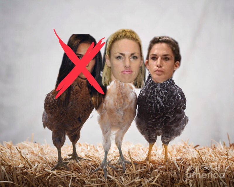 HerminatorMma's tweet photo. One down two to go. Either of you two want a proper fight or are you going to chicken out too? #mydivision @HeatherHardyBox @brooke13_mayo https://t.co/ywENwtDwtf